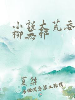 小说大荒吞天诀柳无邪