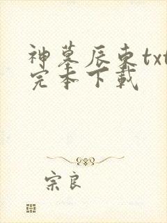 神墓辰东txt完本下载