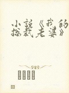 小说《我的冷艳总裁老婆》