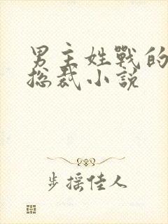 男主姓战的霸道总裁小说 男主姓战的霸道总裁小说