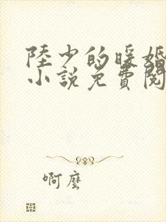 陆少的暖婚新妻小说免费阅读