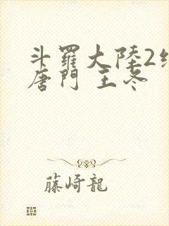 斗罗大陆2绝世唐门 王冬