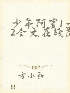 少年阿宾1一72全文在线阅读