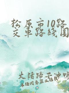 松原市10路公交车路线图
