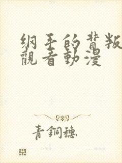 纲手的背叛免费观看动漫