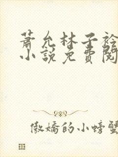 萧允林子衿穿越小说免费阅读无弹窗