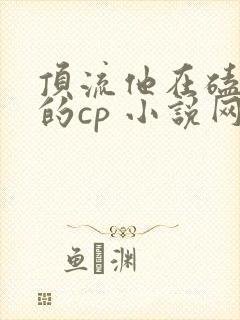 顶流他在磕我俩的cp 小说网