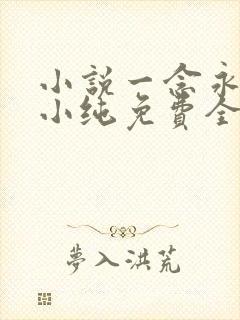 小说一念永恒白小纯免费全文阅读