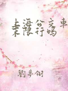 上海公交车道周末限行吗