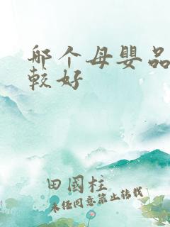 哪个母婴品牌比较好