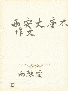 西安大唐不夜城 作文