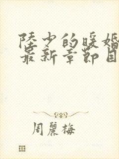 陆少的暖婚新妻最新章节目录