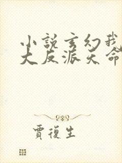 小说玄幻我天命大反派天命反派正版