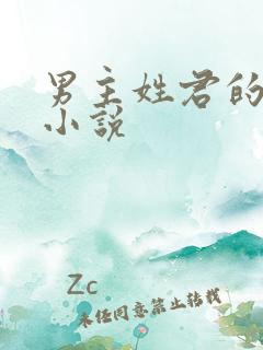 男主姓君的现代小说