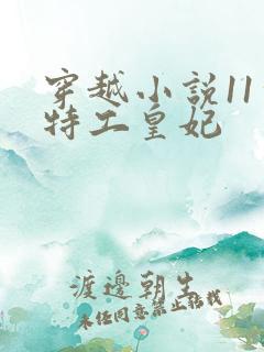 穿越小说11处特工皇妃