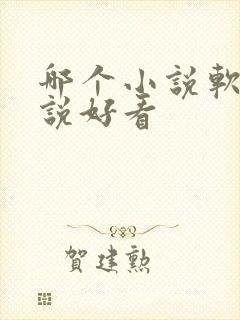 哪个小说软件小说好看