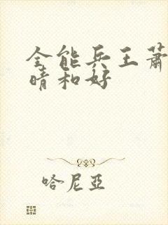 全能兵王萧晨苏晴和好