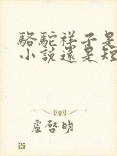 骆驼祥子是长篇小说还是短篇小说