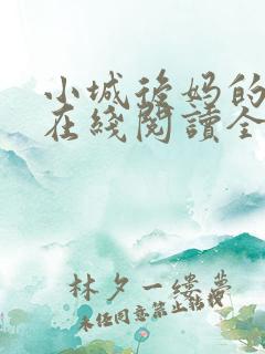 小城后妈的小说在线阅读全文