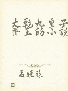 大乾九皇子幽州齐王的小说