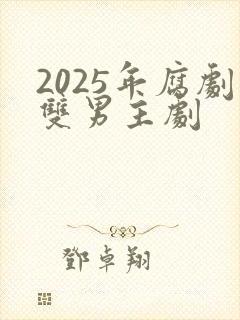 2025年腐剧双男主剧