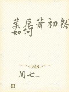 叶辰萧初然结局如何 叶辰萧初然结局如何