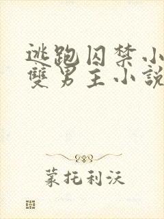 逃跑囚禁小少爷双男主小说推荐完结文
