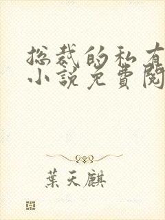 总裁的私有宝贝小说免费阅读全文