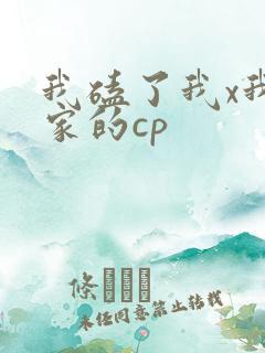 我磕了我x我对家的cp