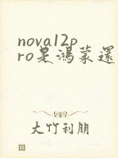 nova12pro是鸿蒙还是安卓