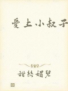 爱上小叔子小说