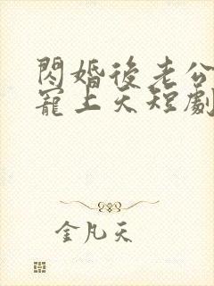闪婚后老公每天宠上天短剧全文免费 闪婚后老公每天宠上天短剧全文免费