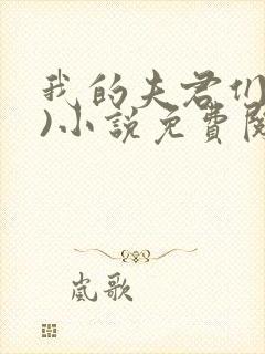 我的夫君们(双)小说免费阅读