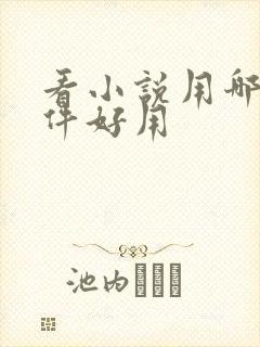 看小说用哪个软件好用 看小说用哪个软件好用