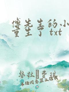 傅先生的小祖宗重生了 txt