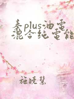 秦plus油电混合纯电能跑多少公里
