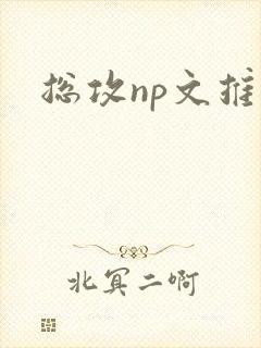 总攻np文推荐
