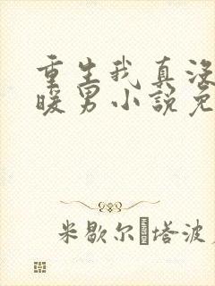 重生我真没想当暖男小说免费阅读全文 重生我真没想当暖男小说免费阅读全文