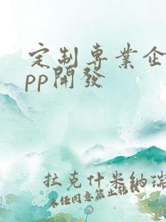 定制专业企业app开发