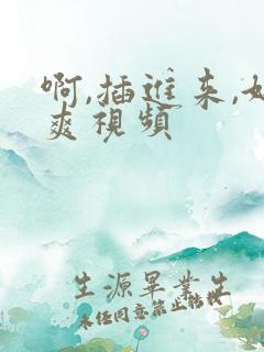 啊,插进来,好爽视频