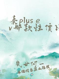 秦plus ev哪款性价比高