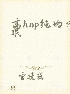 高hnp纯肉催眠