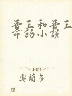 晋王和晋王妃算命的小说