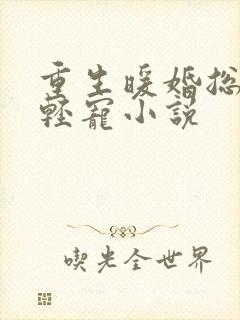 重生暖婚总裁轻轻宠小说