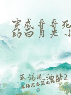 穿成哥哥死对头的白月光 小说