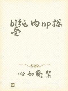 bl纯肉np总受
