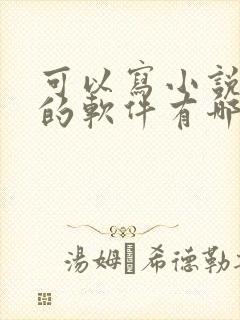 可以写小说赚钱的软件有哪些
