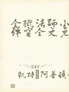 全职法师小说无弹窗全文免费阅读