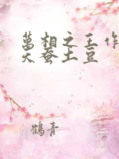 万相之王作者:天蚕土豆