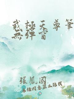 武极天尊笔趣阁无弹窗